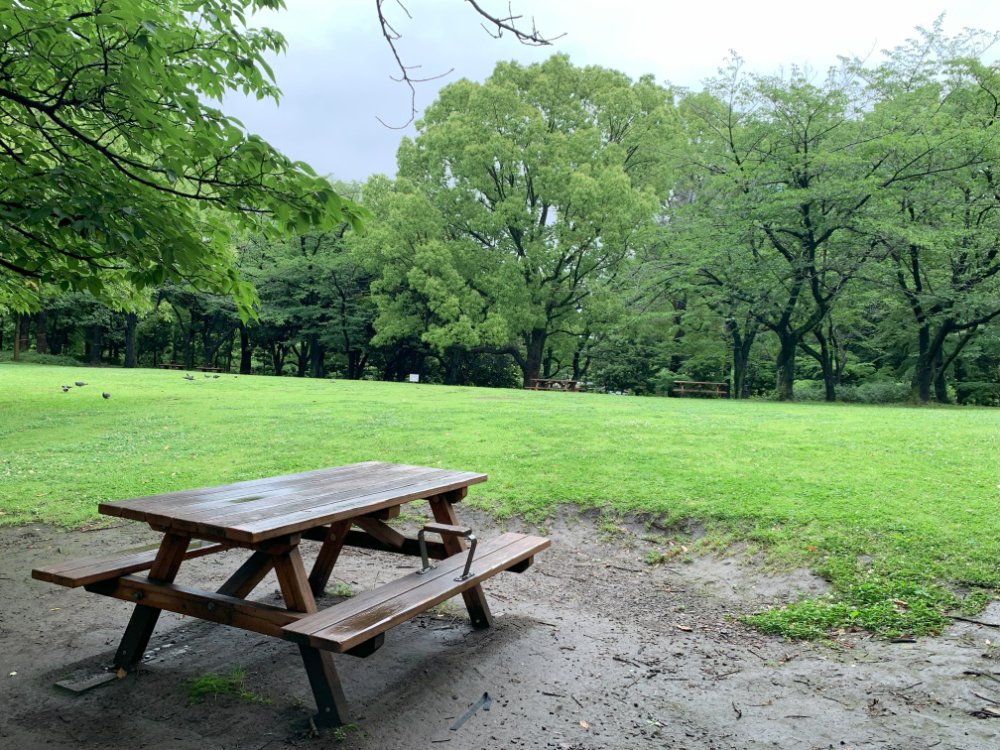 🌳 평화 창조의 숲 공원 (헤이와 소조노 모리 코엔) 이미지 7